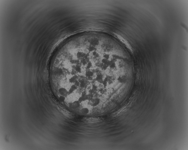 X0000091361027200709071258