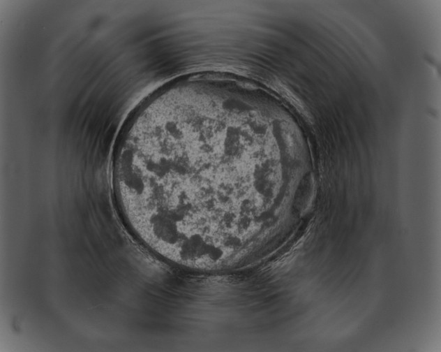 X0000091361028200709071258