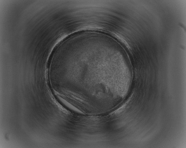 X0000091361029200709071258