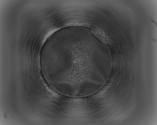 X0000091361030200709071258