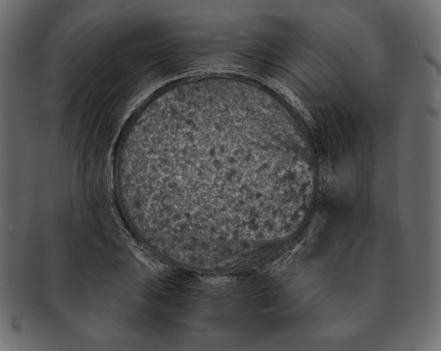 X0000091361031200709071258