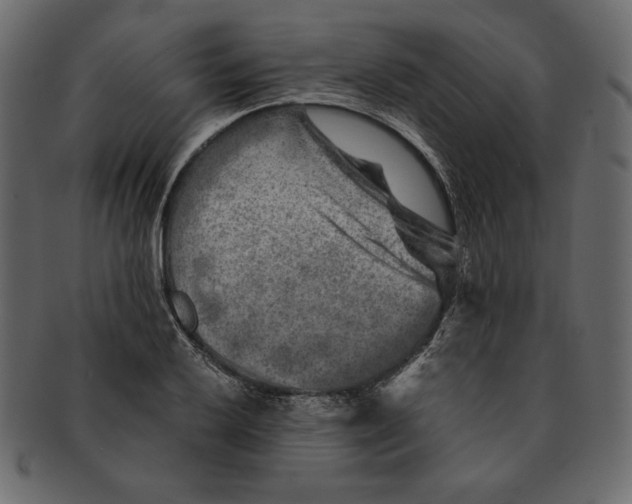 X0000091361032200709071258