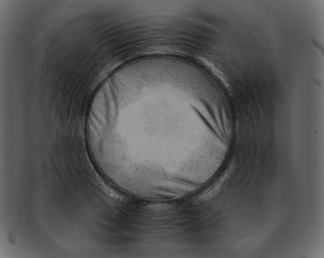 X0000091361033200709071258