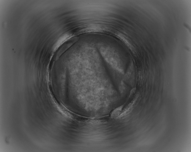 X0000091361034200709071258