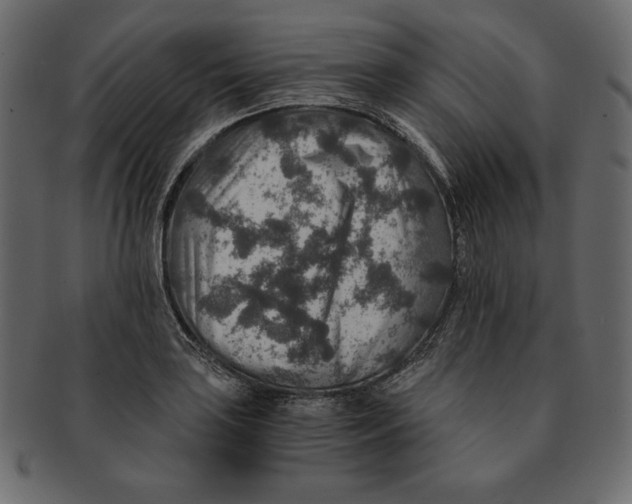 X0000091361035200709071258