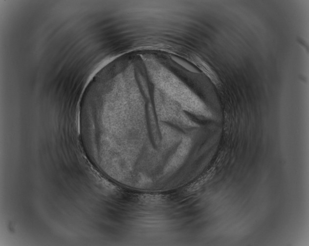 X0000091361036200709071258