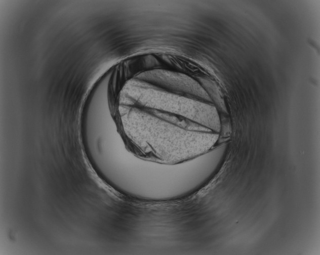 X0000091361038200709071258