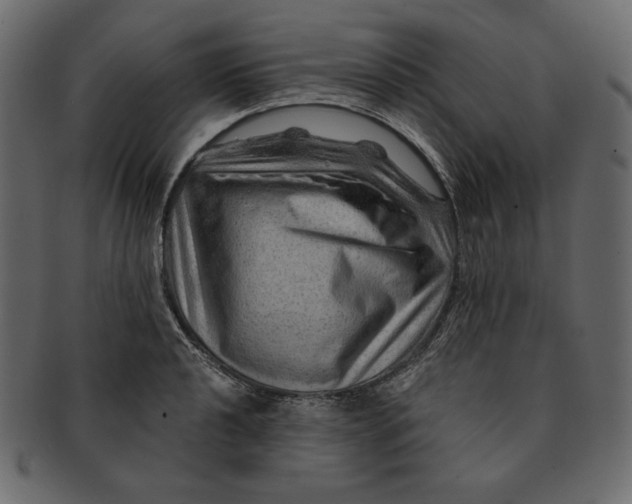 X0000091361040200709071258