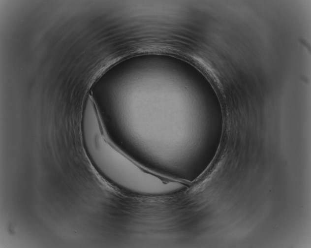 X0000091361041200709071258