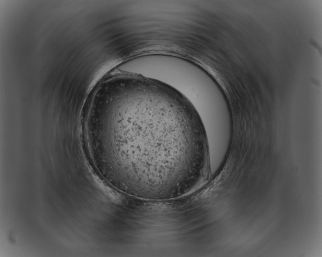 X0000091361042200709071258