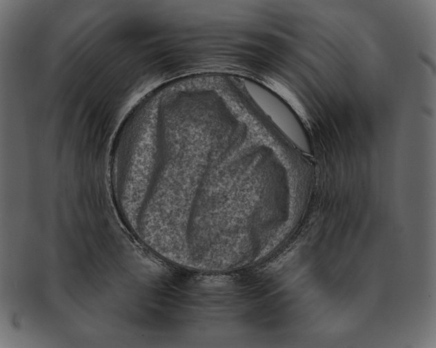 X0000091361043200709071258