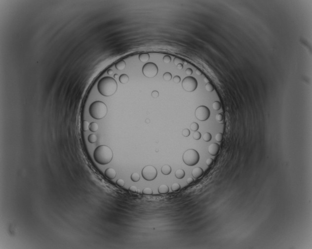 X0000091361044200709071258