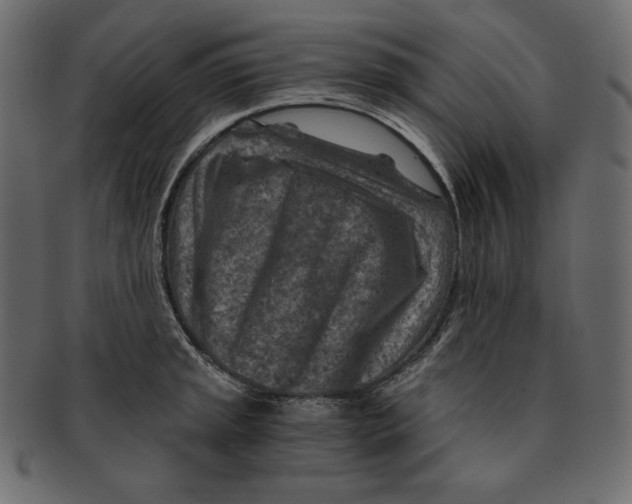 X0000091361045200709071258