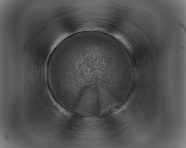 X0000091361046200709071258