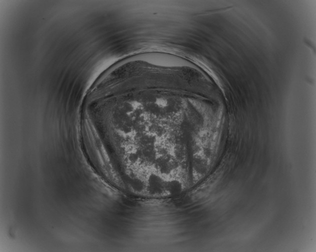 X0000091361048200709071258