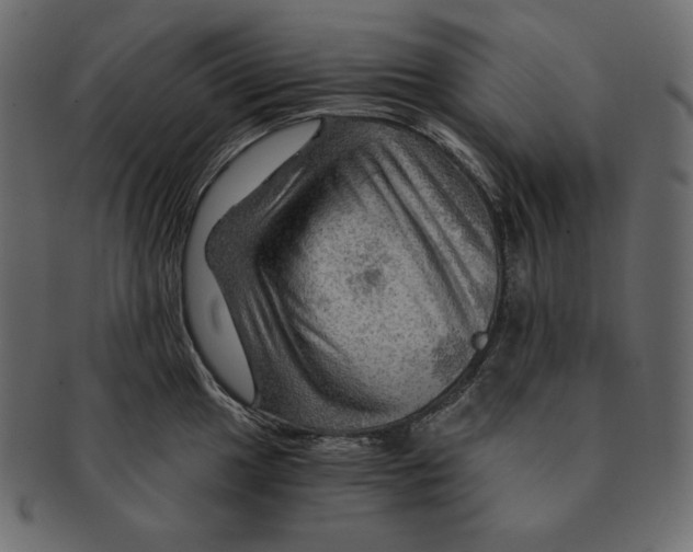 X0000091361049200709071258