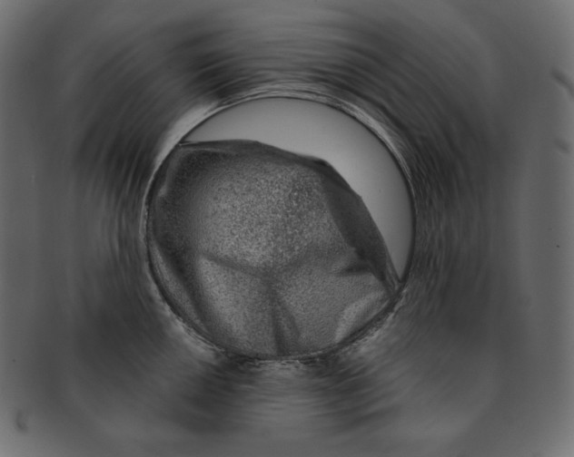 X0000091361050200709071258