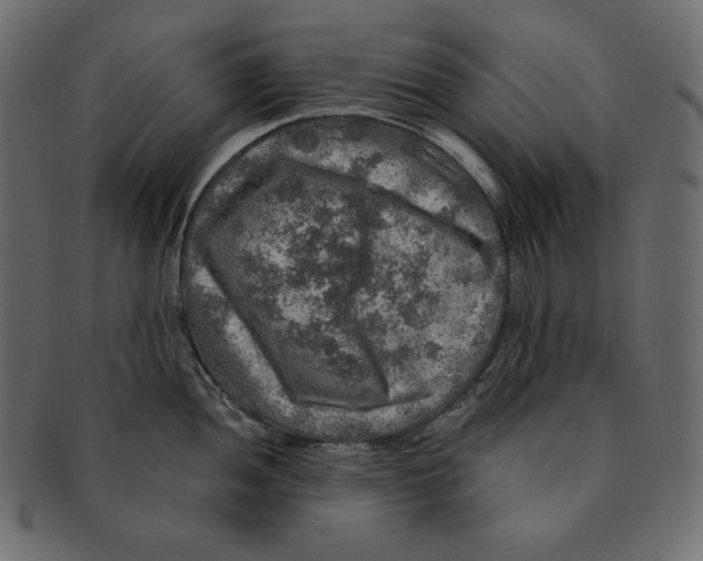 X0000091361052200709071258