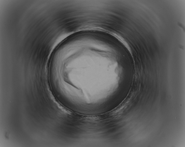 X0000091361053200709071258