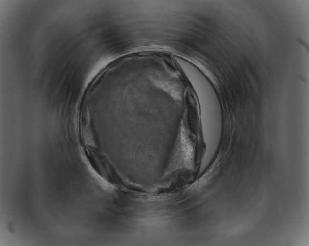 X0000091361054200709071258