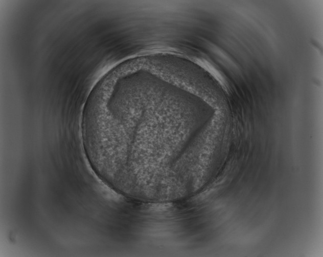 X0000091361055200709071259