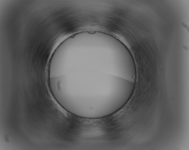 X0000091361056200709071259