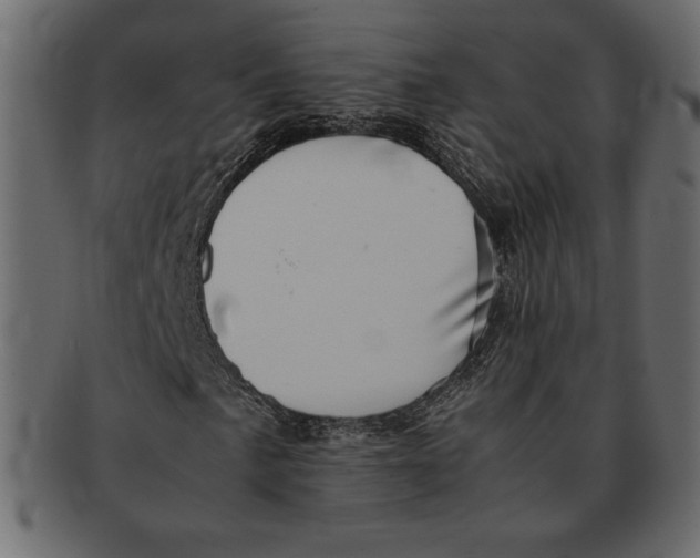 X0000091361057200709071258