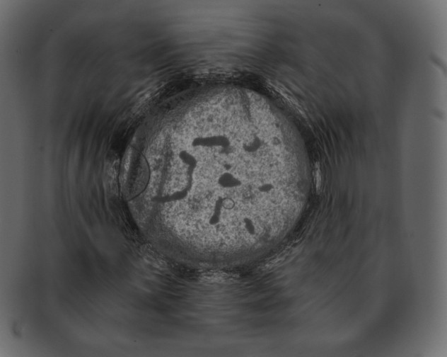 X0000091361059200709071258