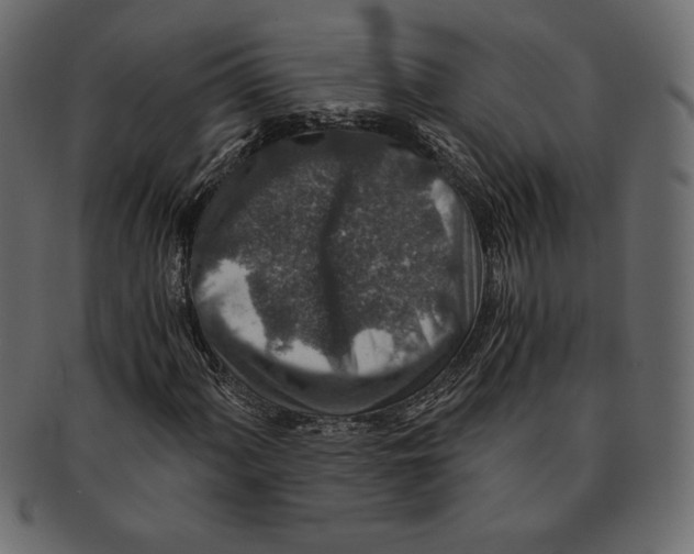 X0000091361060200709071258