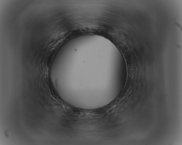 X0000091361061200709071258