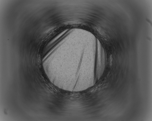 X0000091361062200709071258