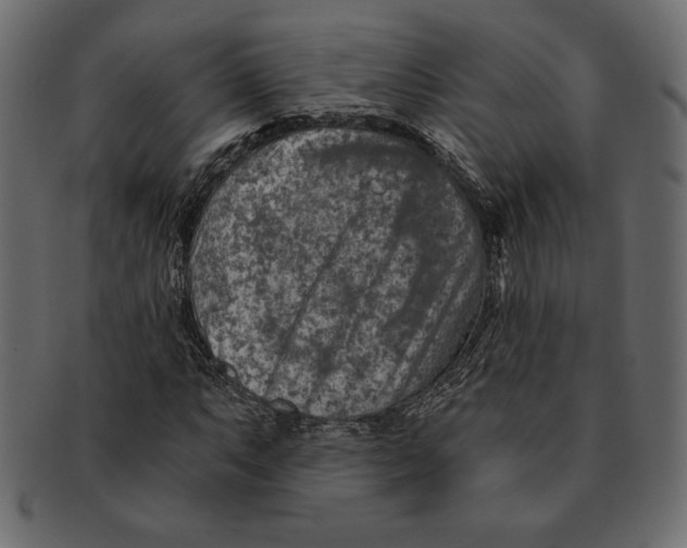 X0000091361063200709071258