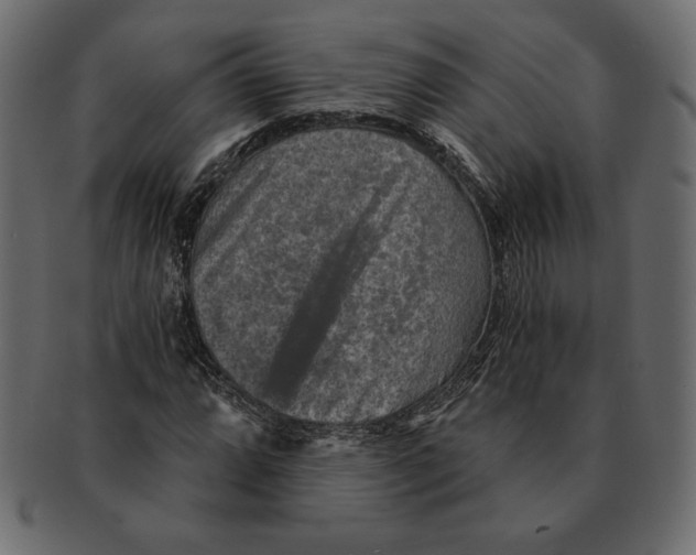 X0000091361064200709071258