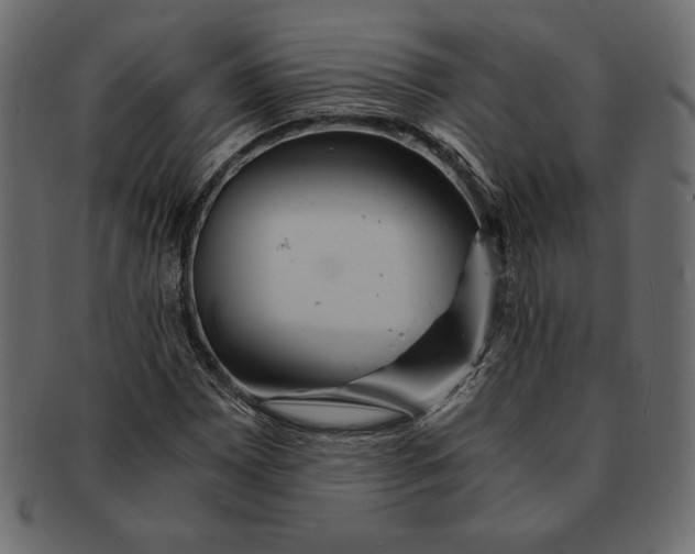 X0000091361065200709071258