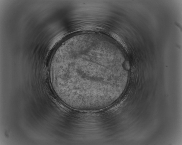 X0000091361067200709071258