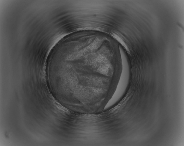 X0000091361068200709071258