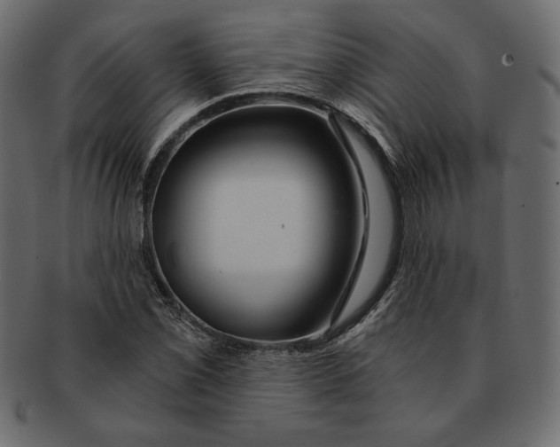 X0000091361069200709071258