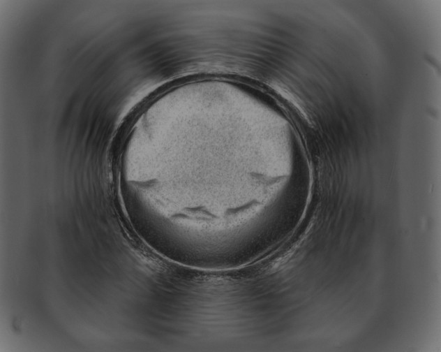 X0000091361070200709071258