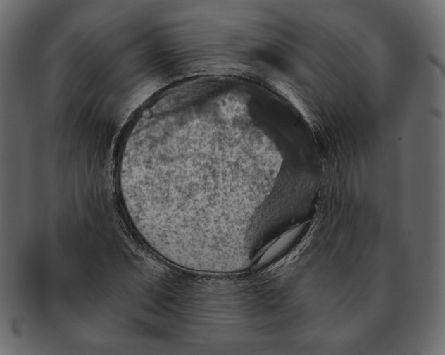 X0000091361071200709071258