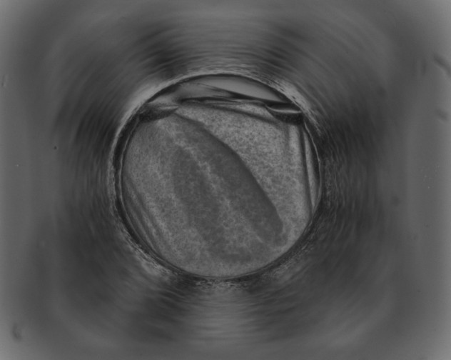 X0000091361072200709071258