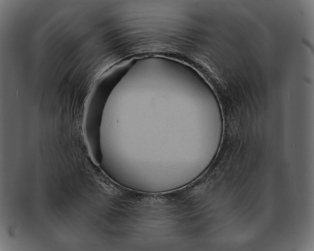 X0000091361073200709071258