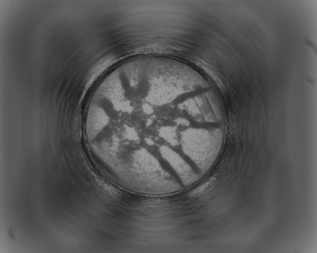 X0000091361075200709071258