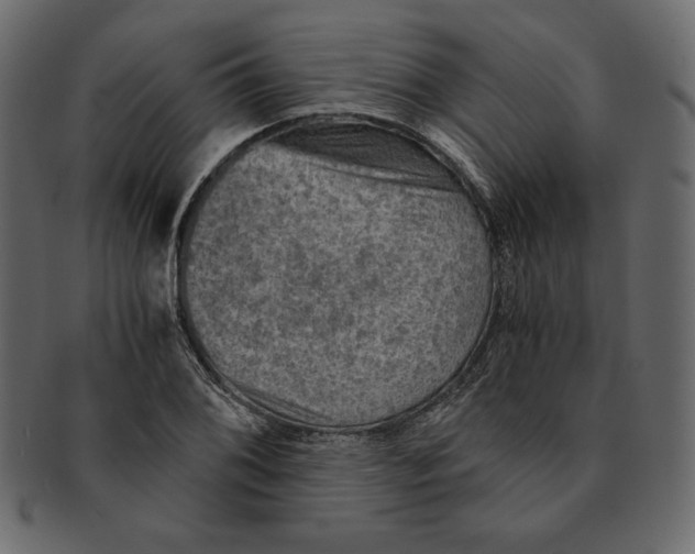 X0000091361076200709071258
