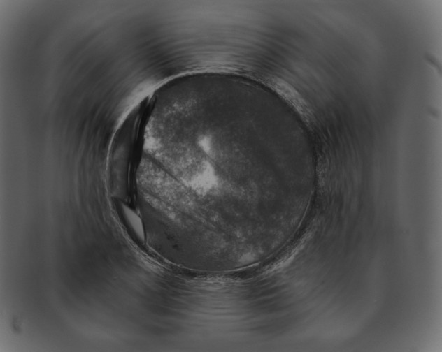 X0000091361077200709071258
