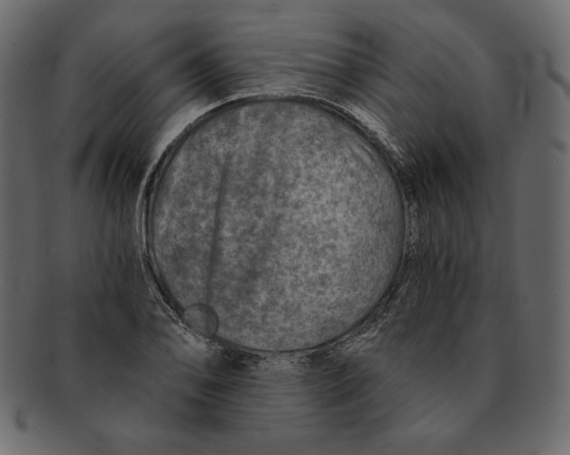 X0000091361078200709071258