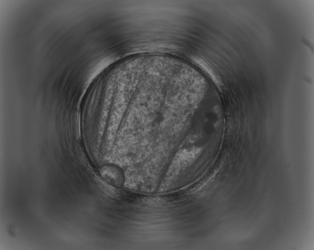 X0000091361079200709071258