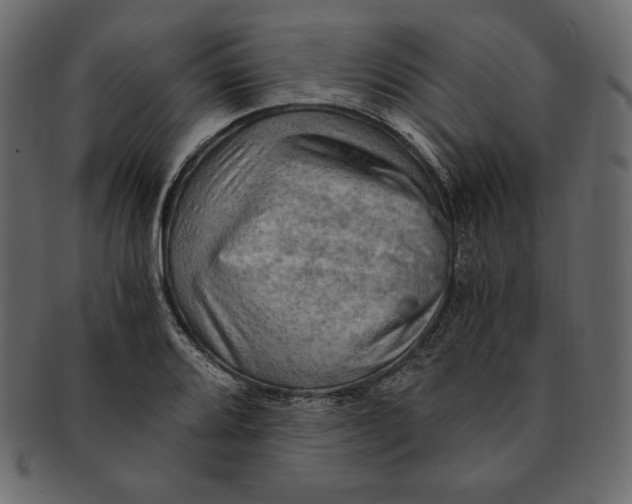 X0000091361080200709071258