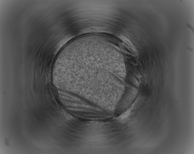 X0000091361081200709071258