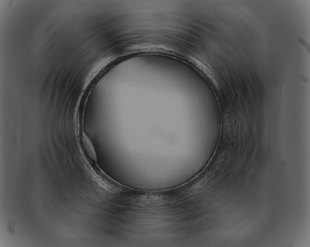 X0000091361082200709071257