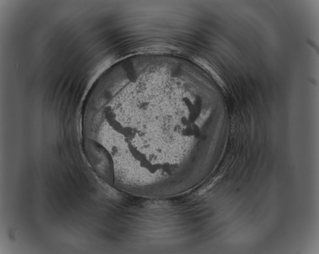 X0000091361083200709071257